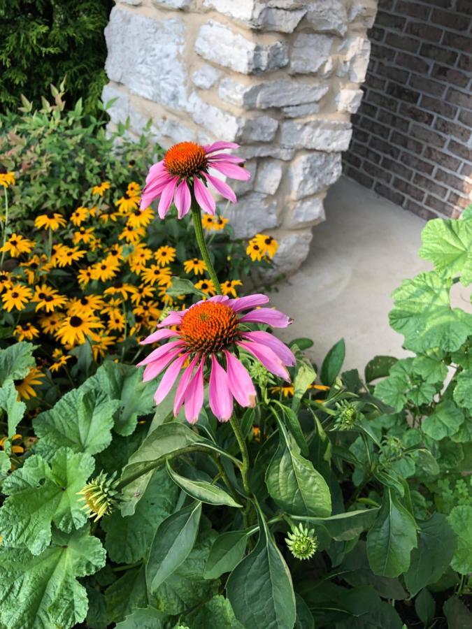 Winnie'S Bed & Breakfast Lawrenceburg 외부 사진